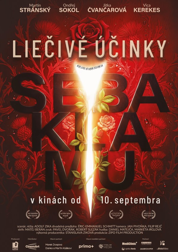 Léčivé účinky sebeklamu - poster